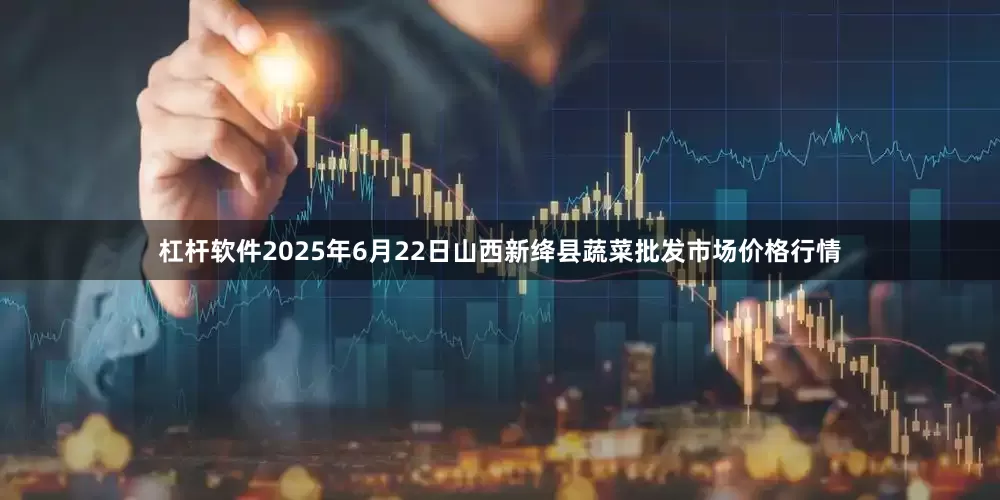 杠杆软件2025年6月22日山西新绛县蔬菜批发市场价格行情