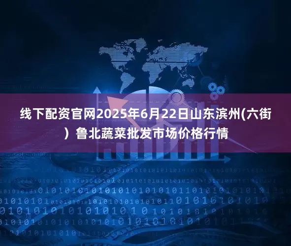 线下配资官网2025年6月22日山东滨州(六街)鲁北蔬菜批发市场价格行情